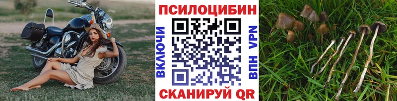 купить наркотики цена  Южноуральск  Галлюциногенные грибы мухоморы 